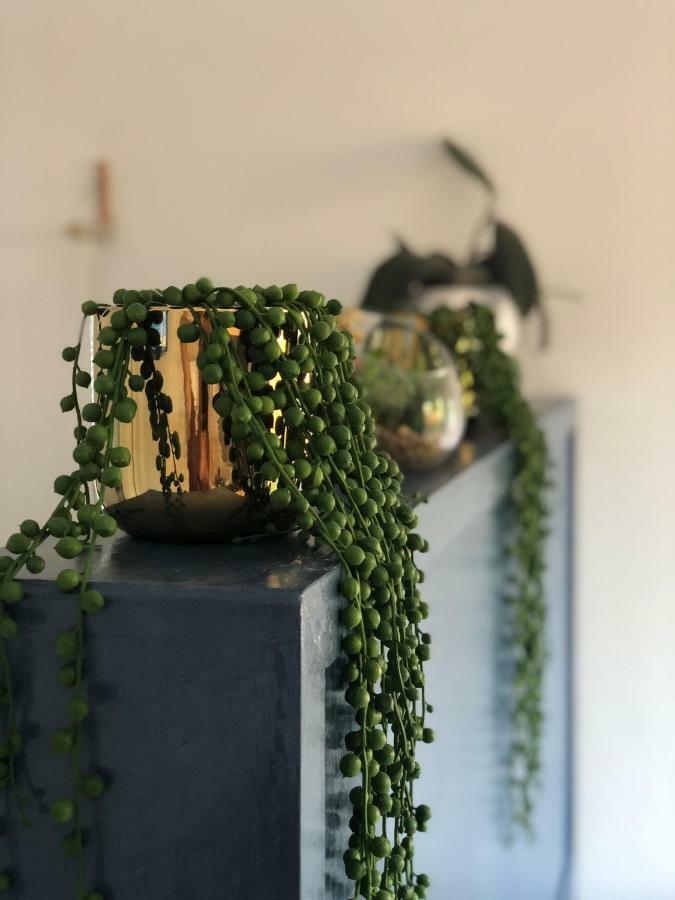 41 On Serruria Apartman Stellenbosch Kültér fotó